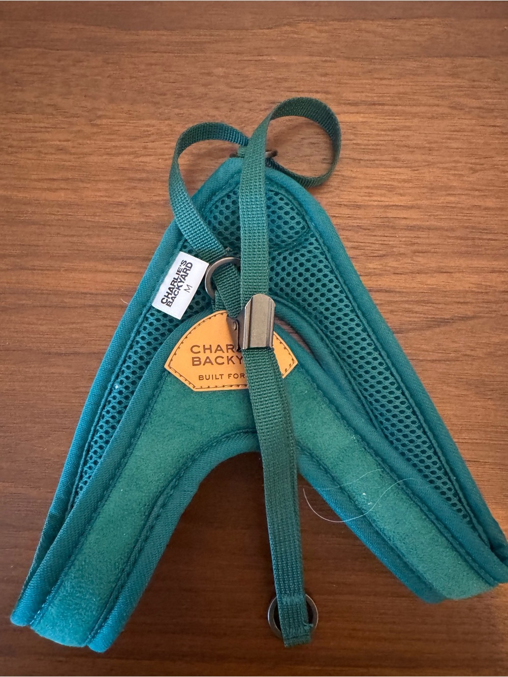 Teal Kids Harness